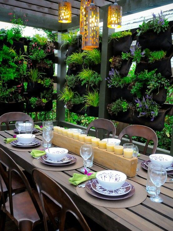 vertical wall garden