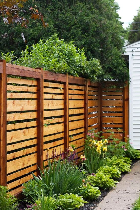 backyard fence