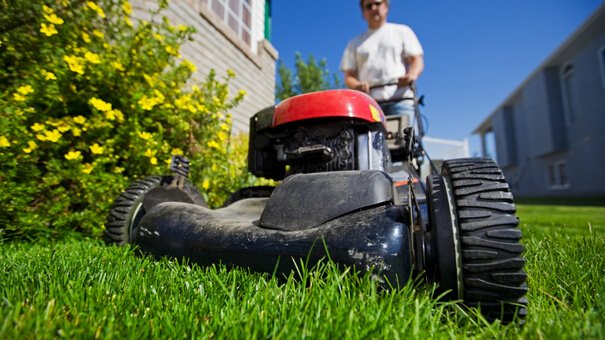 lawn maintenance