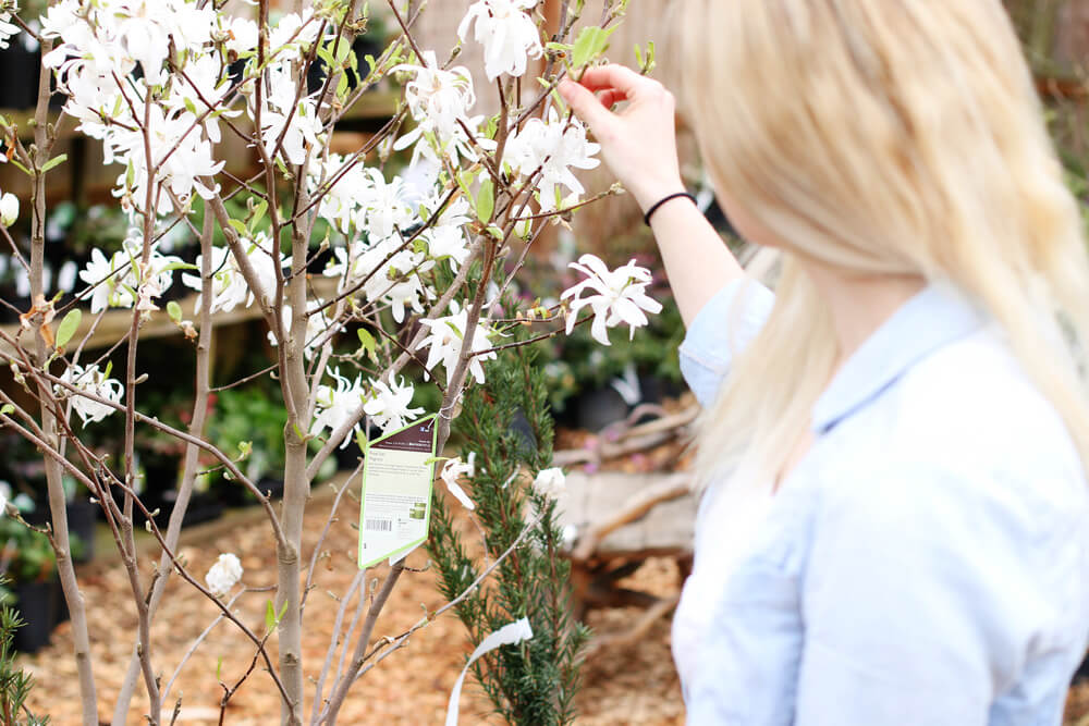 plant research