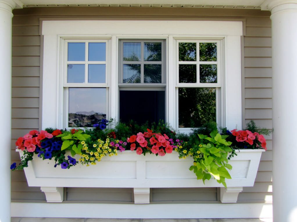 StepbyStep Guide to Plant in Window Flower Boxes
