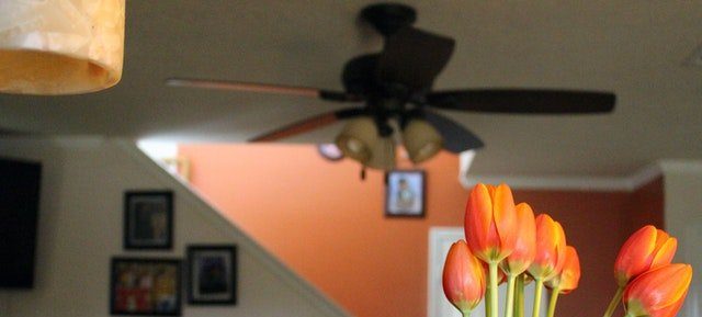 12 ceiling fans that are best for modern designs