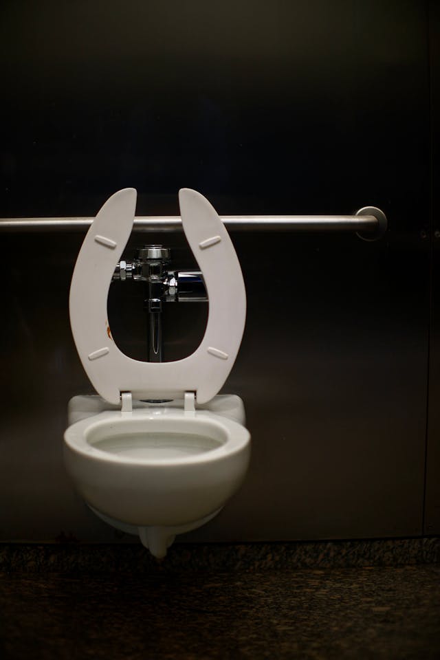 Improved accessibility toilet