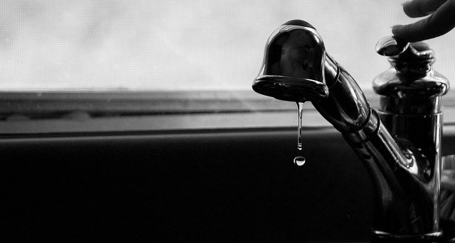 Leaking kitchen faucet