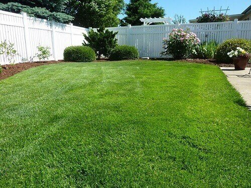 natural grass lawn