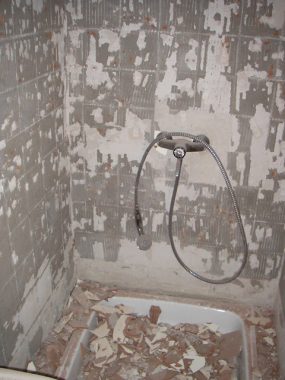 Renovating bathroom by gutting