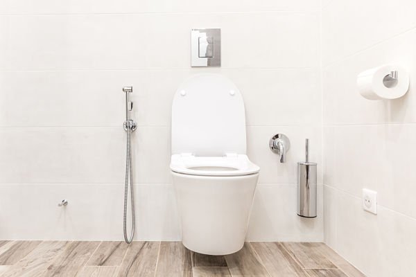 Wall mounted toilet