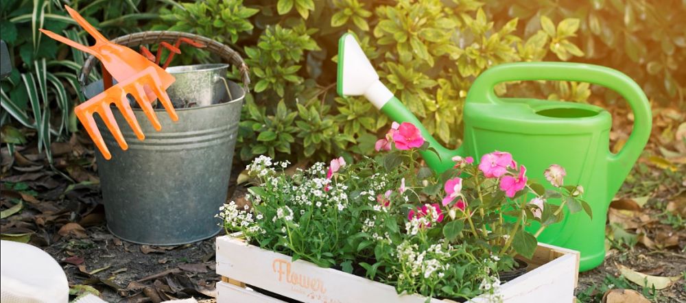 Useful Garden Maintenance Tips for the Perfect Outdoor Area