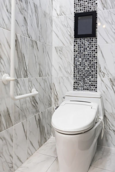 Grab bars