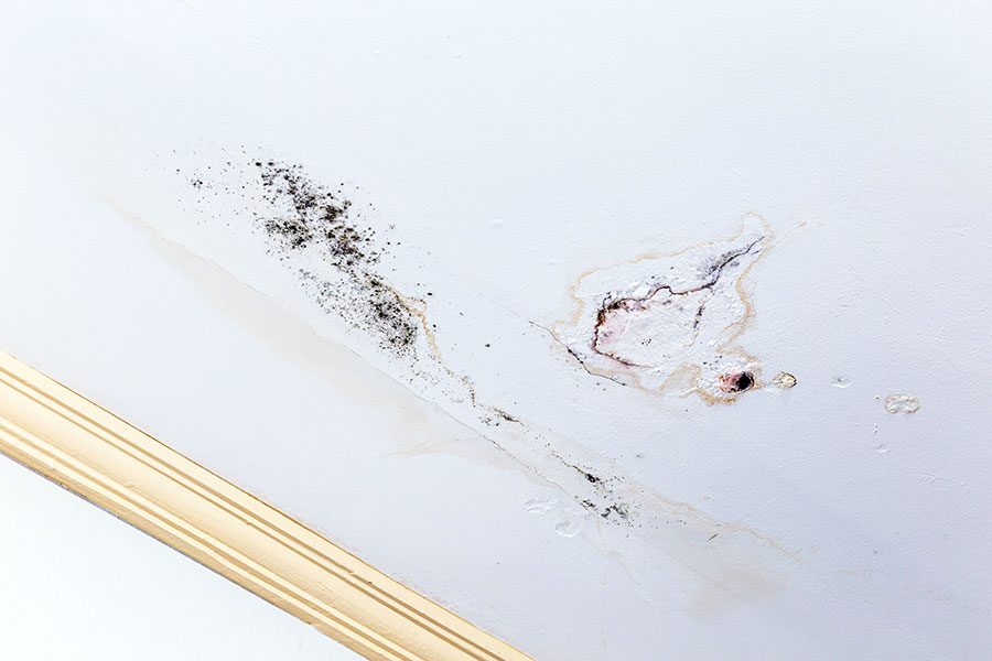 prevent mold in bathroom ceilings