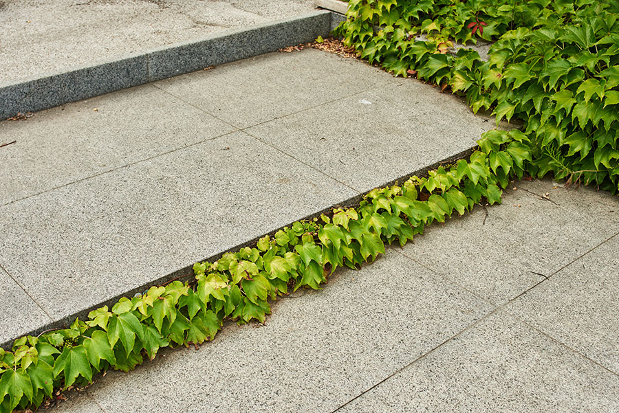 How to Clean Front Porch Concrete? [Best Tips]