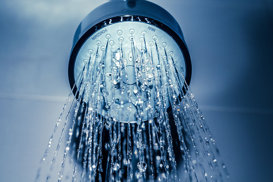 shower head with filter