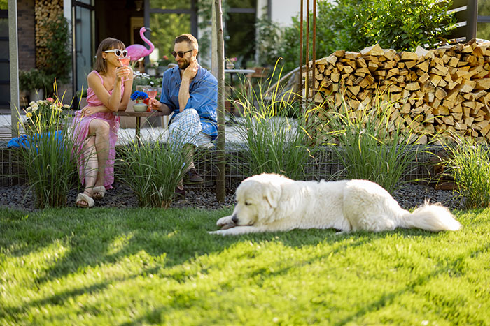 Proximity dog outlet fence