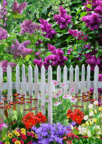 color for fence