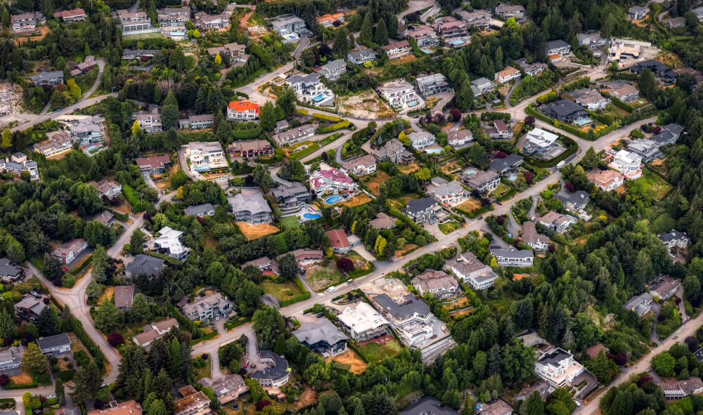 neighorborhood with trees
