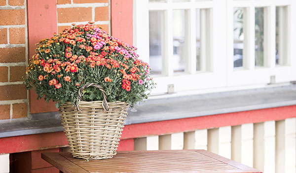flower porch decor