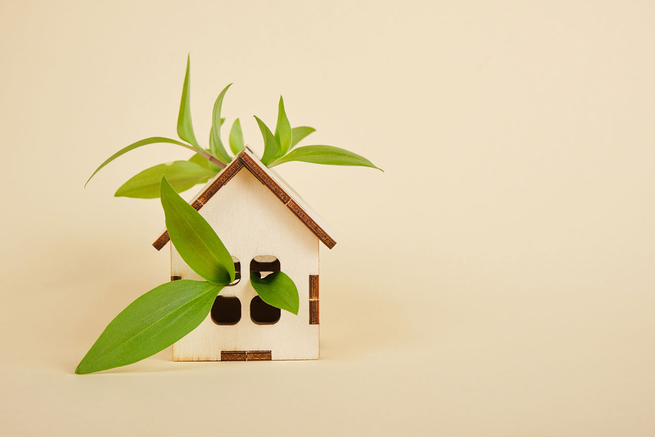 Generate Electricity At Home. Tips for An Eco-Friendly House