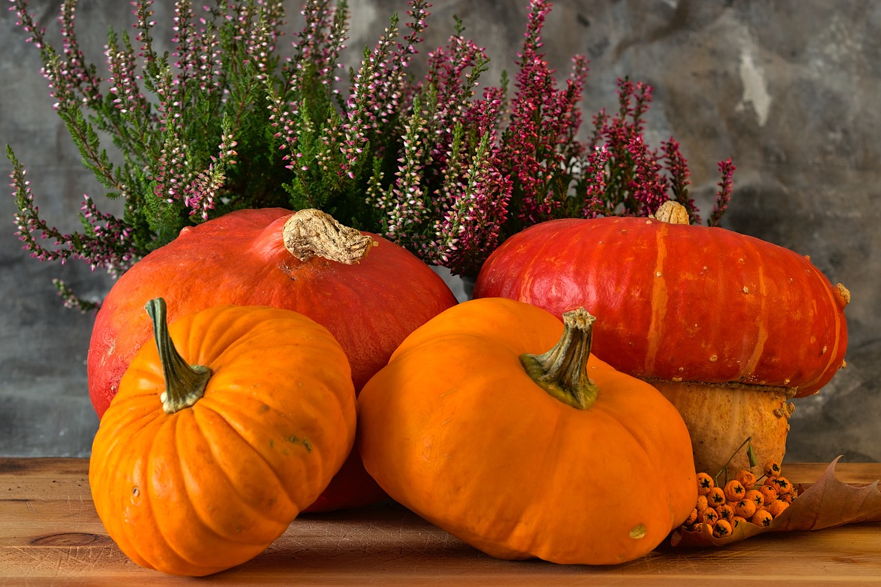 Decoration with pumpkins