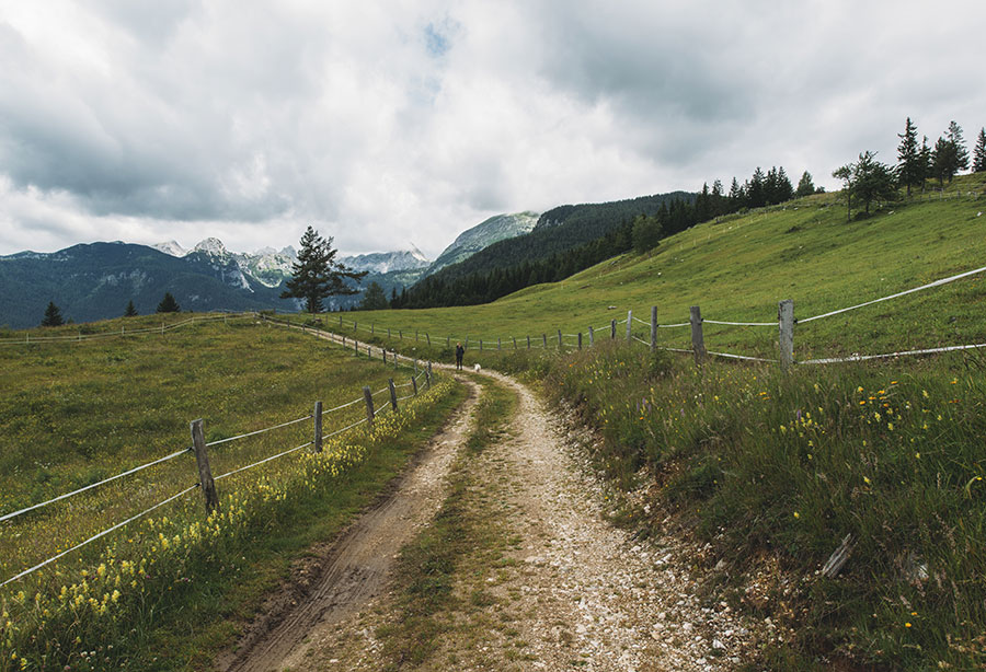 Prescriptive easement