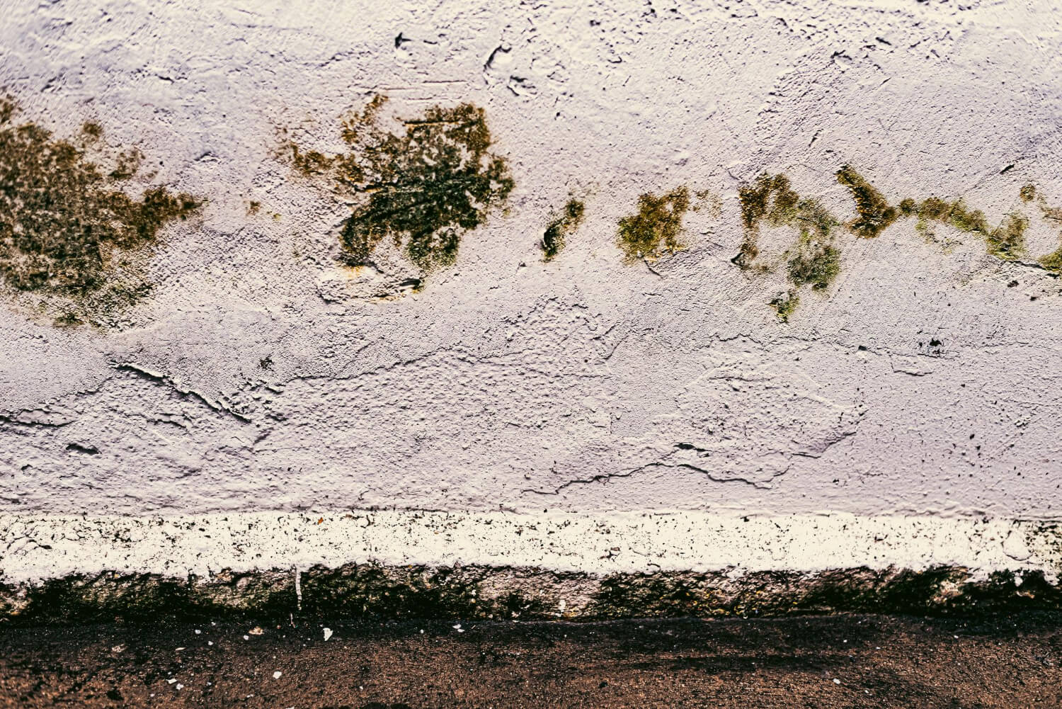 Wall full of mold