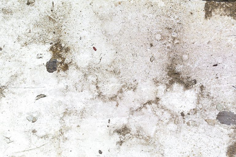 Ghosting On Walls How To Remove And Prevent It