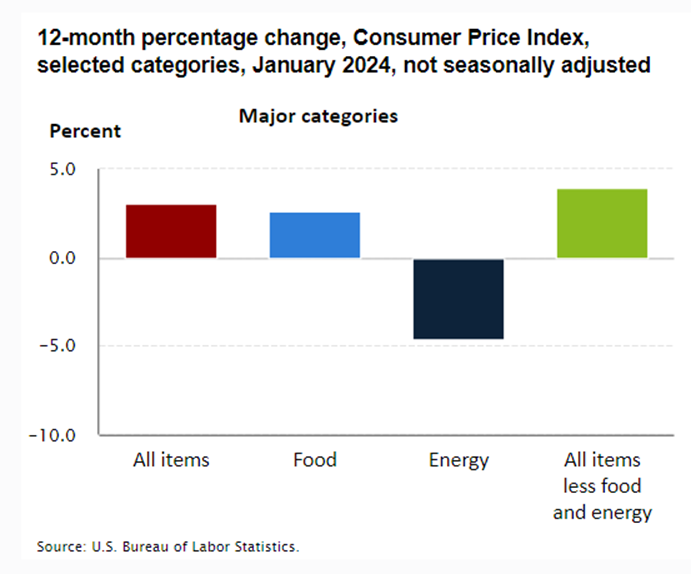 Consumer price index January 2024