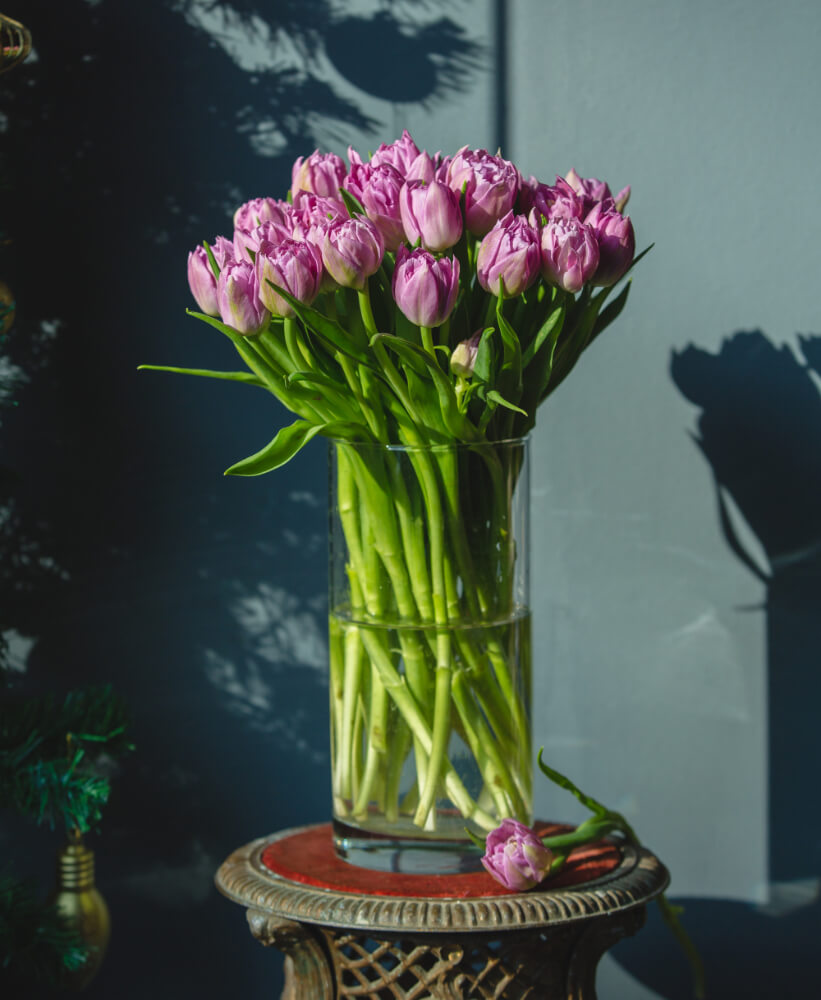 tulips