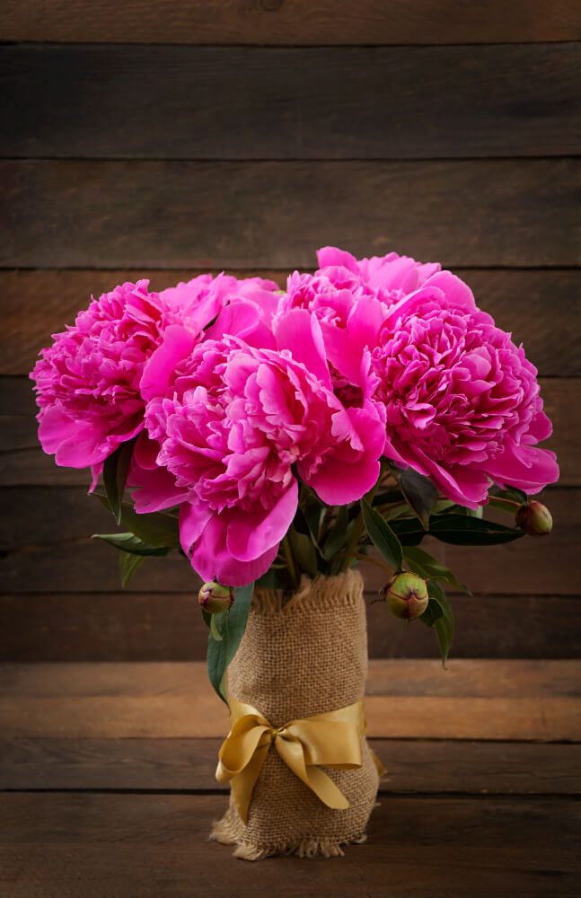Peonies