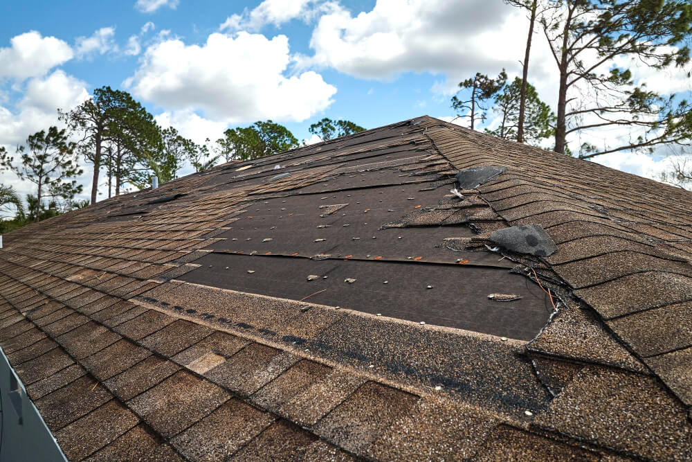 damaged roof shingles