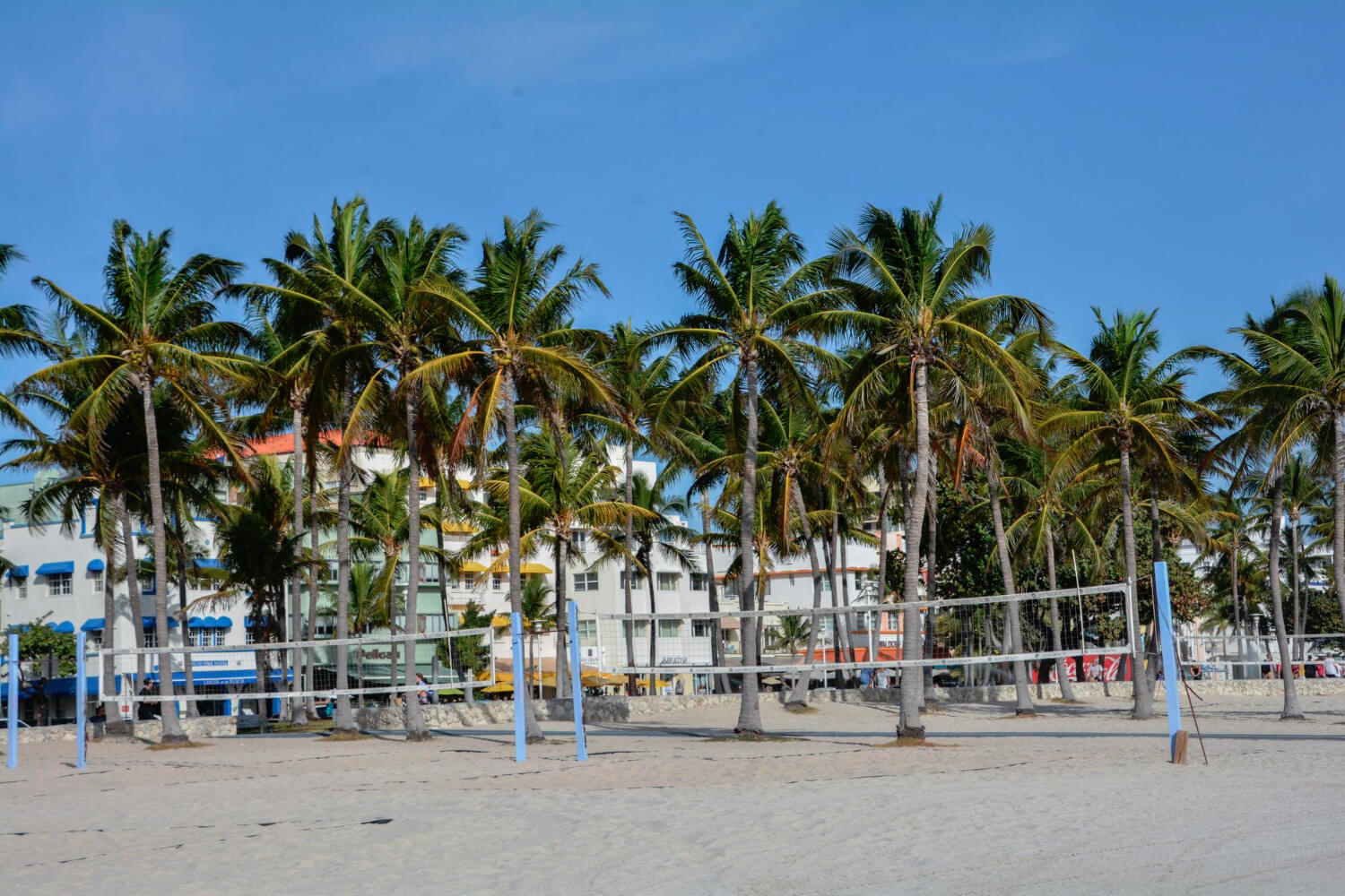 Palm trees on beach against sky