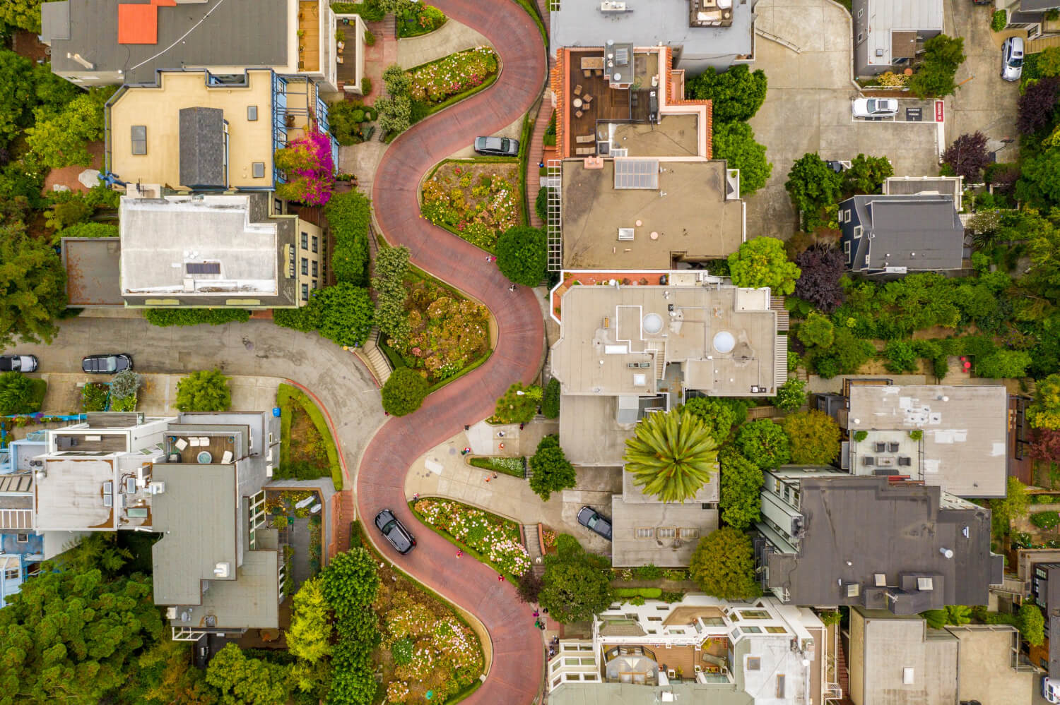 green neighborhood
