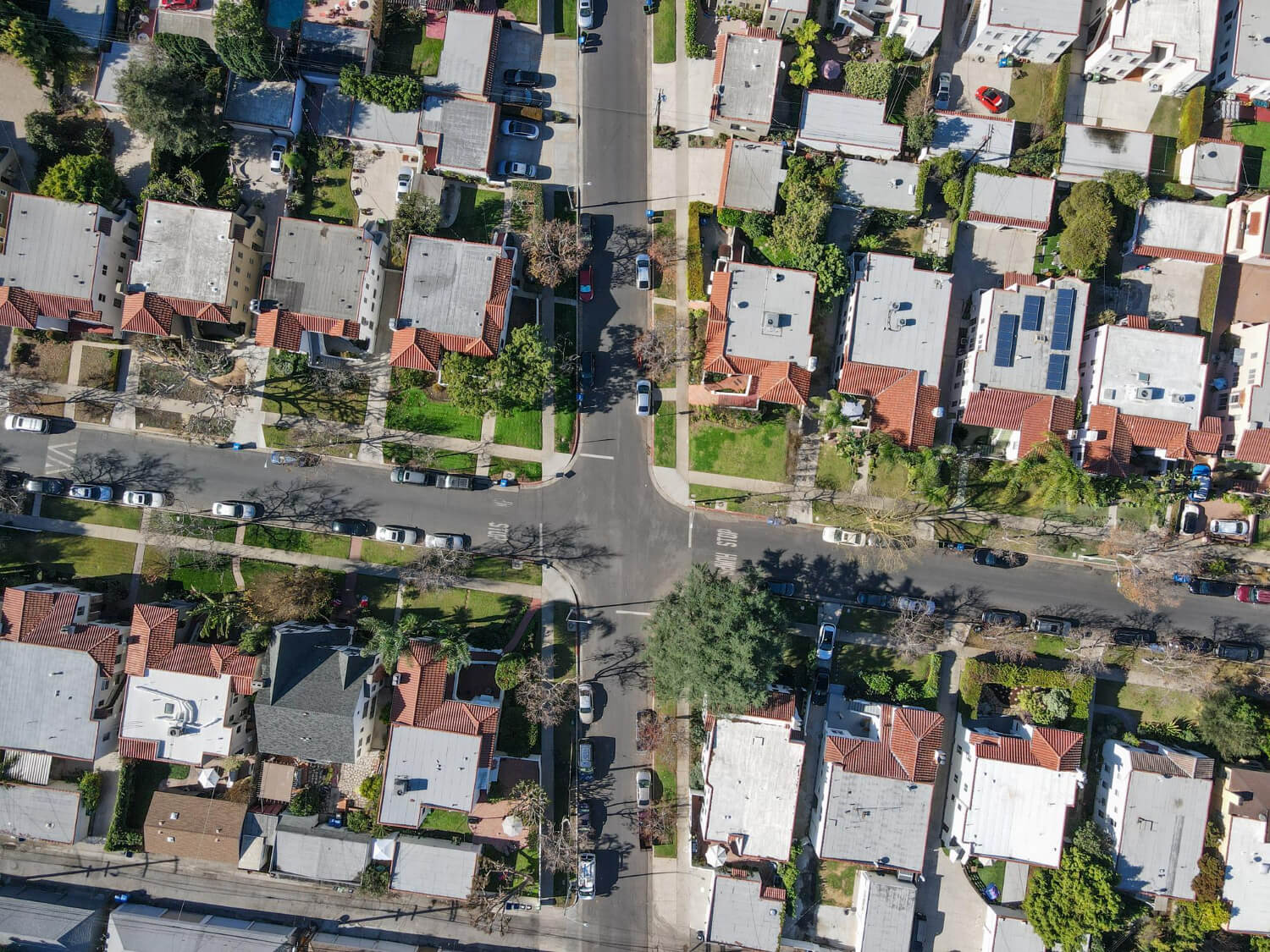 Neighborhood activity